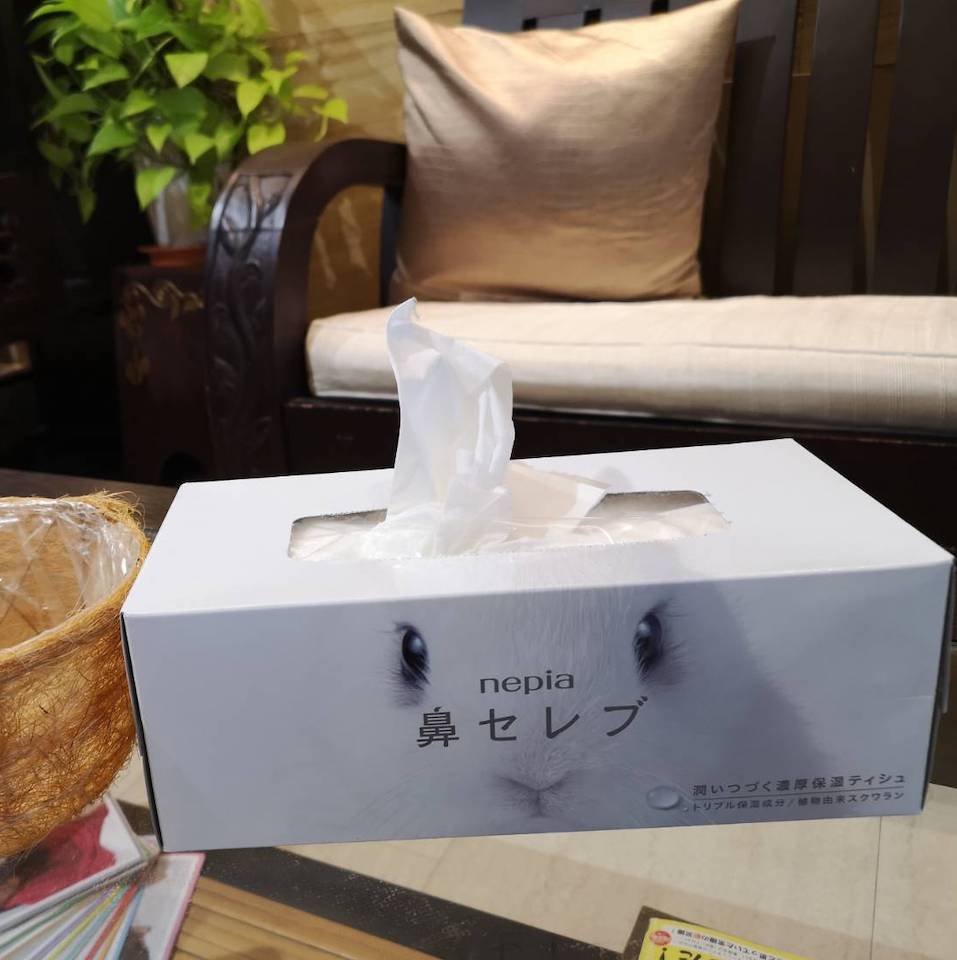 ティッシュ